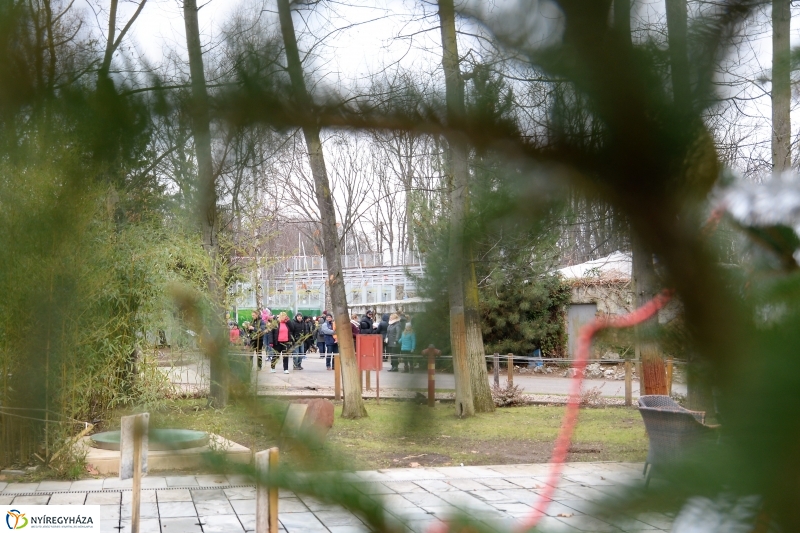 100 forintos nap az Állatparkban - fotó Trifonov Éva