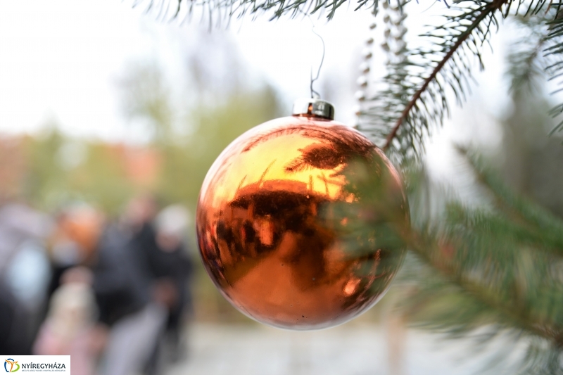 100 forintos nap az Állatparkban - fotó Trifonov Éva