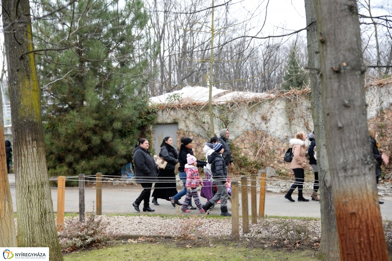 100 forintos nap az Állatparkban - fotó Trifonov Éva