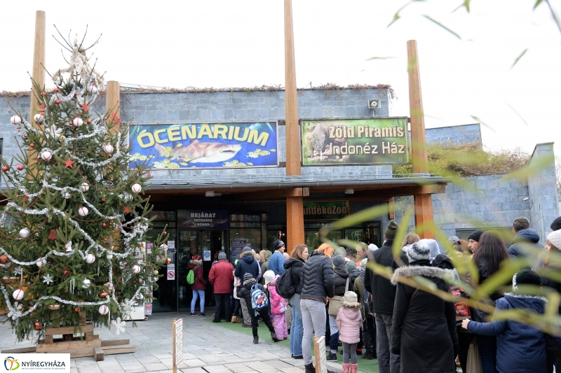 100 forintos nap az Állatparkban - fotó Trifonov Éva