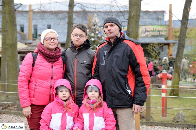 100 forintos nap az Állatparkban - fotó Trifonov Éva