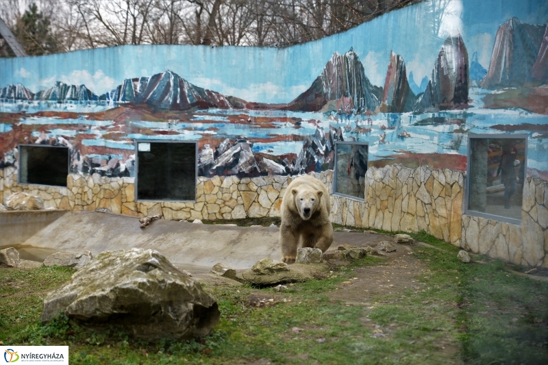 100 forintos nap az Állatparkban - fotó Trifonov Éva