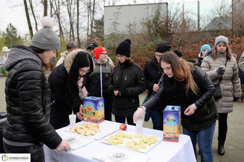 100 forintos nap az Állatparkban - fotó Trifonov Éva