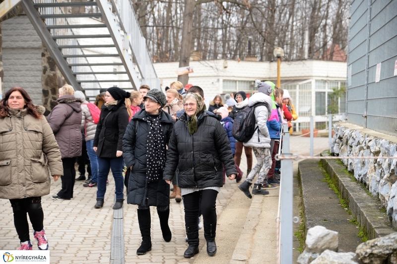 100 forintos nap az Állatparkban - fotó Trifonov Éva
