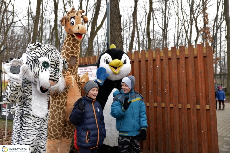 100 forintos nap az Állatparkban - fotó Trifonov Éva