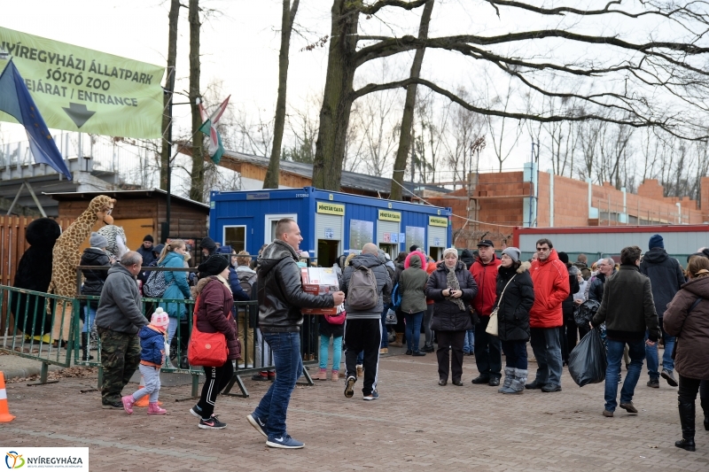 100 forintos nap az Állatparkban - fotó Trifonov Éva