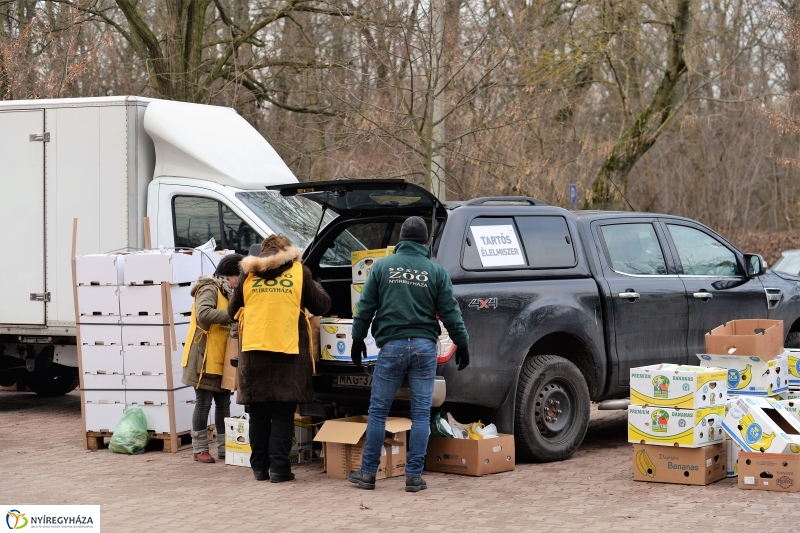 100 forintos nap az Állatparkban - fotó Trifonov Éva