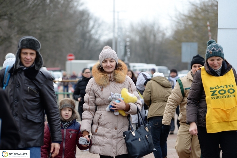 100 forintos nap az Állatparkban - fotó Trifonov Éva