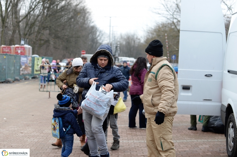 100 forintos nap az Állatparkban - fotó Trifonov Éva