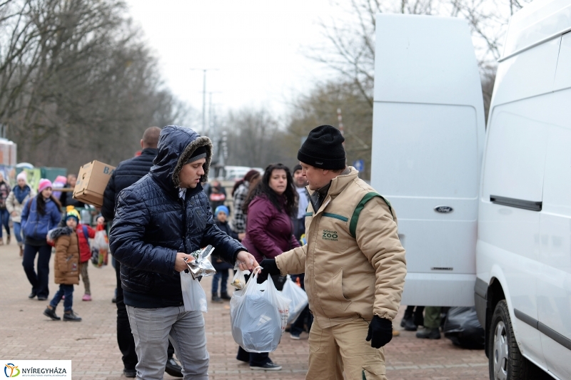 100 forintos nap az Állatparkban - fotó Trifonov Éva