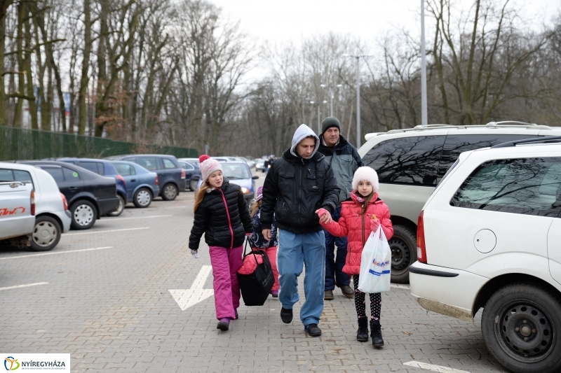 100 forintos nap az Állatparkban - fotó Trifonov Éva
