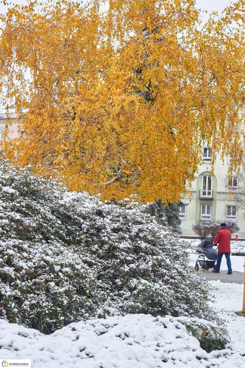 Ünnepek előtti pillanatok - fotó Szarka Lajos