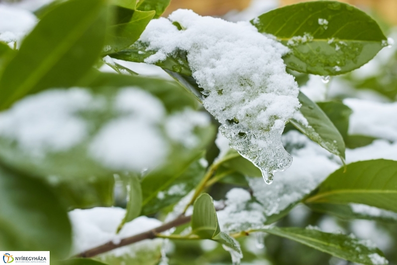 Ünnepek előtti pillanatok - fotó Szarka Lajos