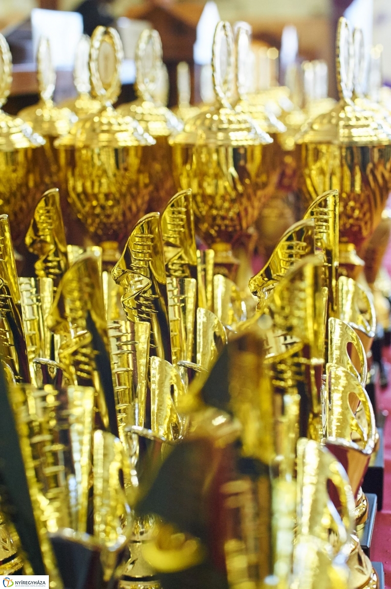 Megyei Sportgála 2017 - fotó Szarka Lajos