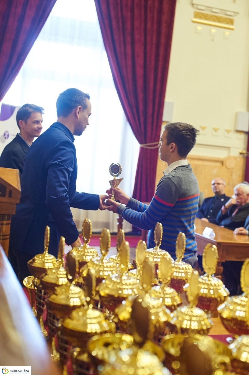 Megyei Sportgála 2017 - fotó Szarka Lajos