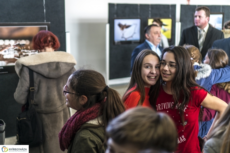 Nyíregyházán Az Év Természetfotósa kiállítás - Fotó: Kohut Árpád