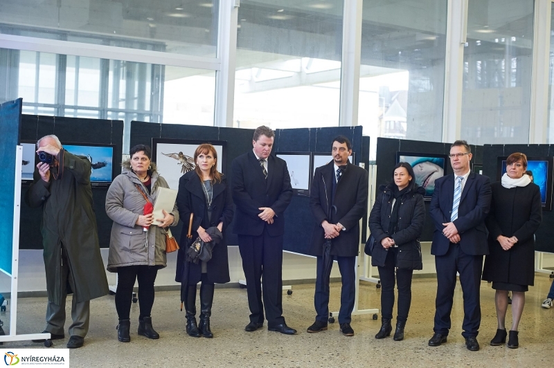 Váci Mihályra emlékeztek 2017 - fotó Szarka Lajos