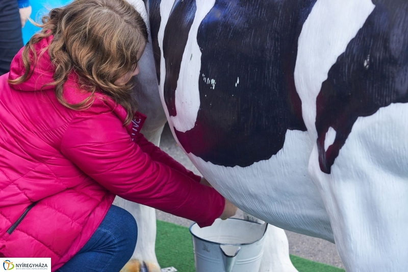 A Tej útja - fotó Szarka Lajos