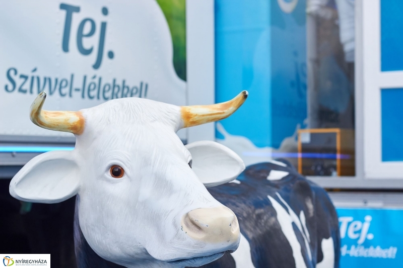 A Tej útja - fotó Szarka Lajos