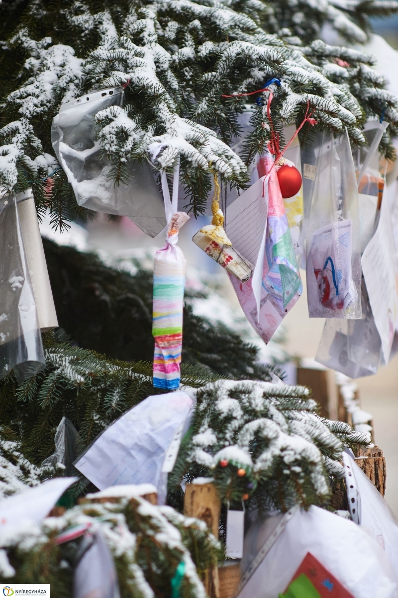 Ünnep előtti pillanatok - fotó Szarka Lajos