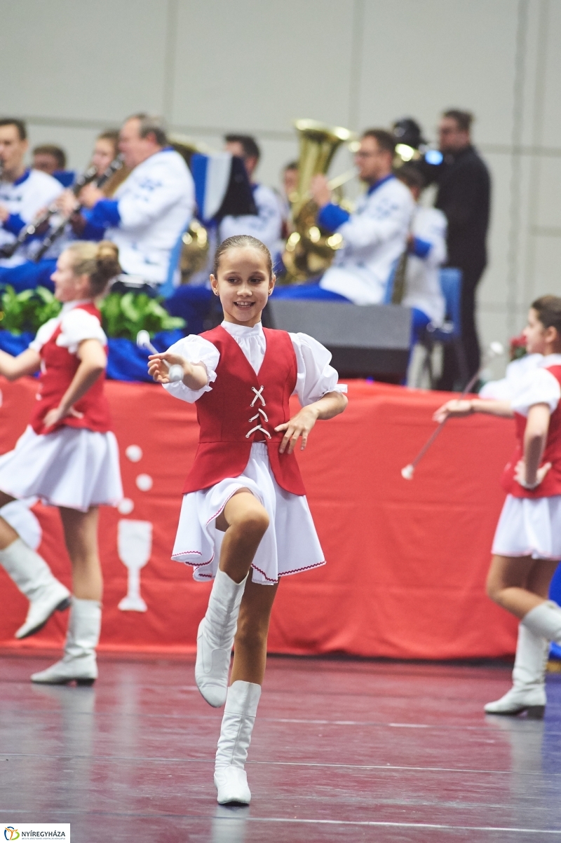 Újévi Koncert 2017 - fotó Szarka Lajos