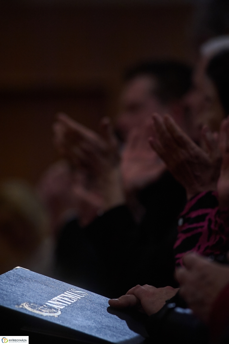 25 éves japán kapcsolat - fotó Szarka Lajos