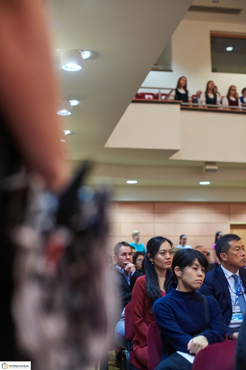 25 éves japán kapcsolat - fotó Szarka Lajos