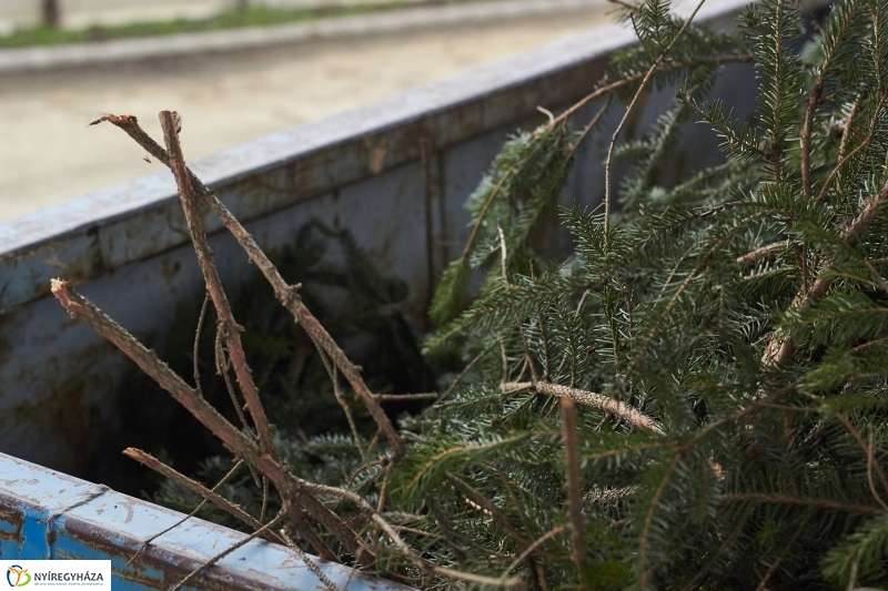 Karácsonyfáért ajándék 2018 - fotó Szarka Lajos