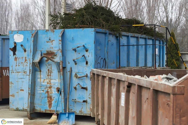 Karácsonyfáért ajándék 2018 - fotó Szarka Lajos