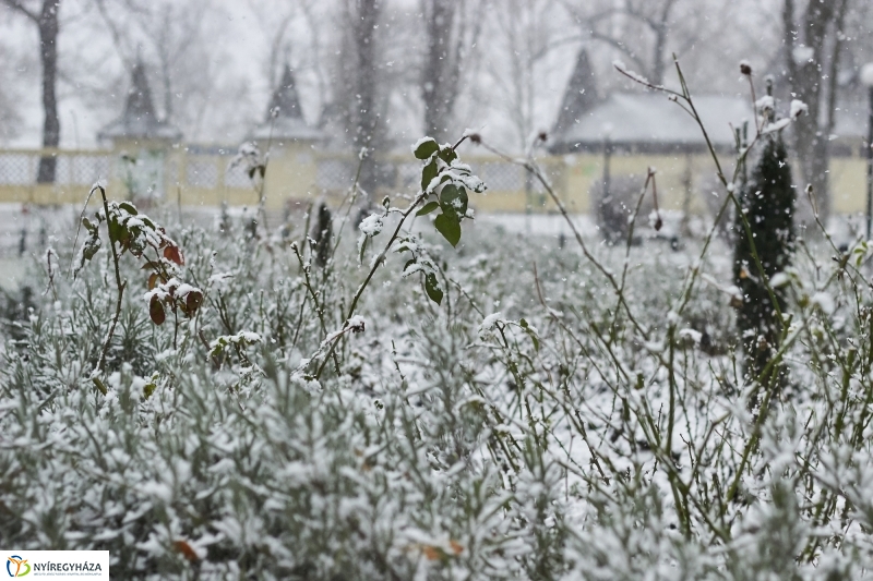 Csodás téli Sóstó - fotó Szarka Lajos