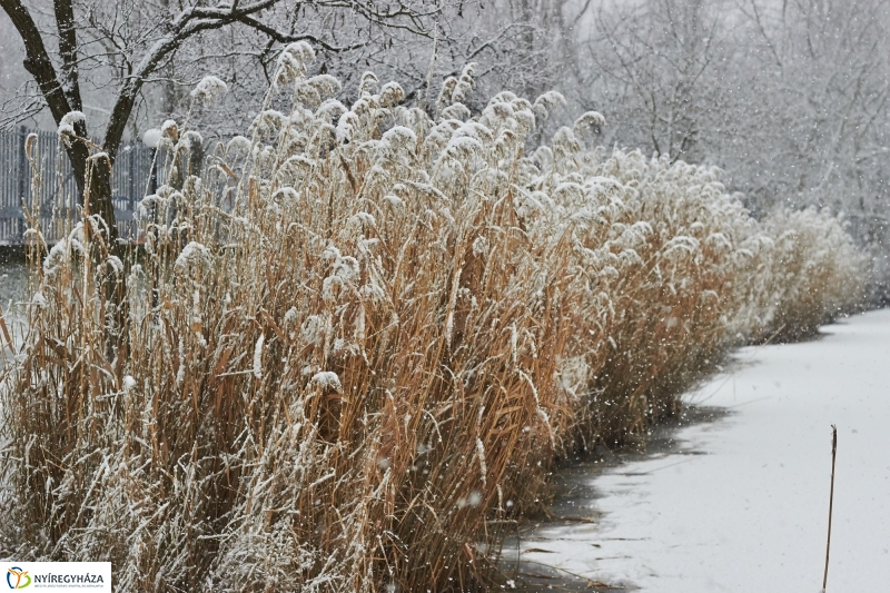 Csodás téli Sóstó - fotó Szarka Lajos