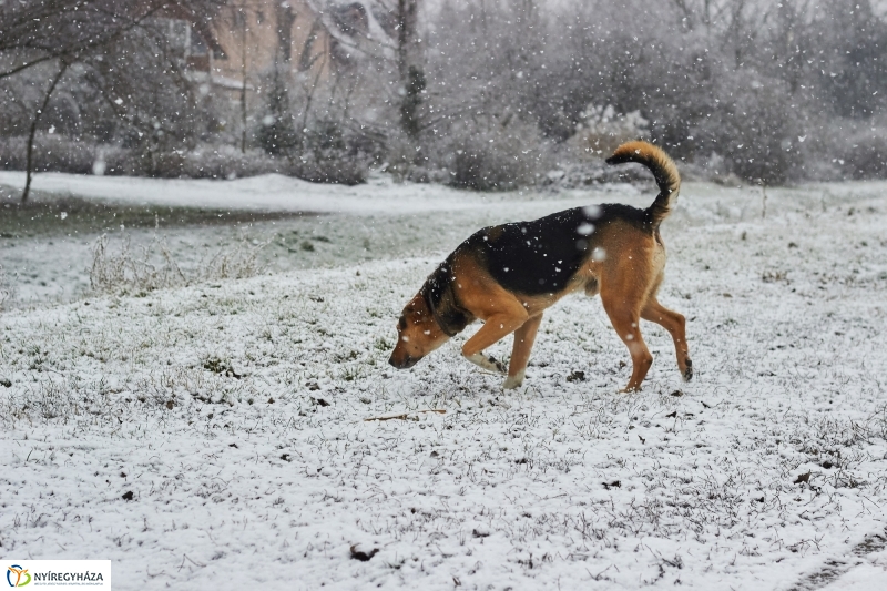 Csodás téli Sóstó - fotó Szarka Lajos