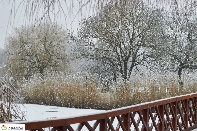 Csodás téli Sóstó - fotó Szarka Lajos