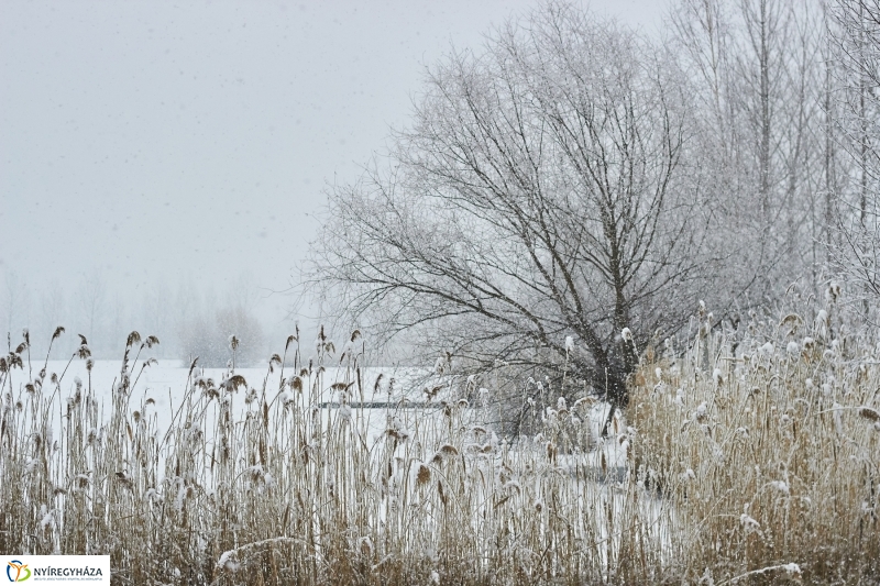 Csodás téli Tüskevár - fotó Szarka Lajos