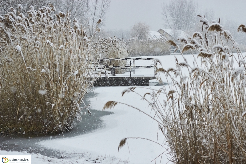 Csodás téli Tüskevár - fotó Szarka Lajos
