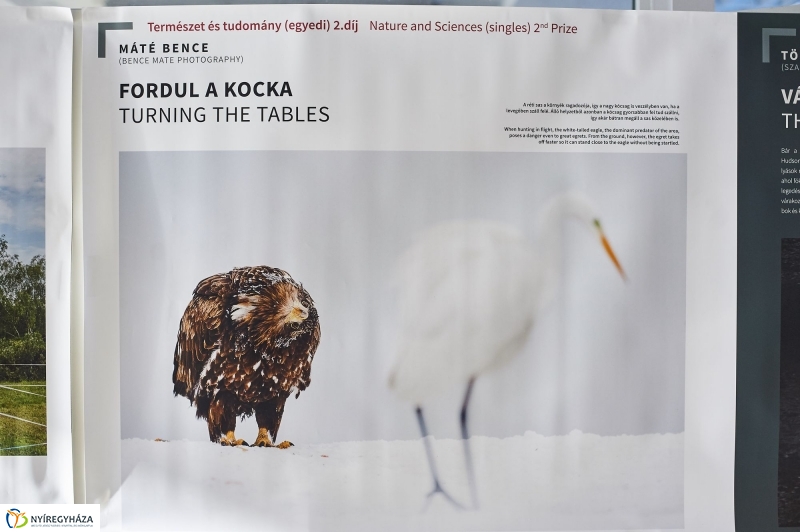 Sajtófotó kiállítás Nyíregyházán - fotó Szarka Lajos