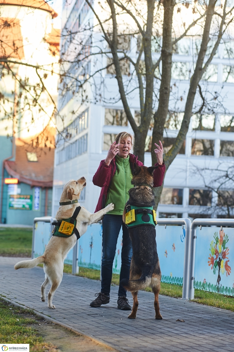 Segítő kutyák - fotó Szarka Lajos