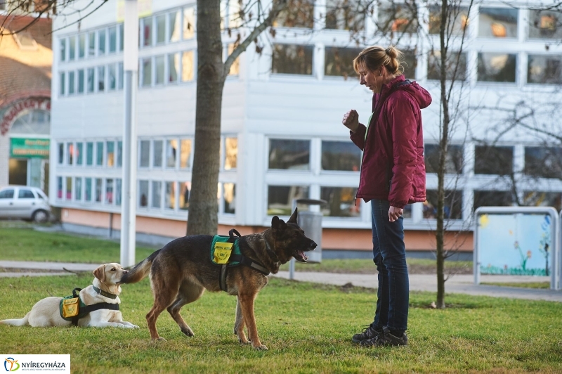 Segítő kutyák - fotó Szarka Lajos