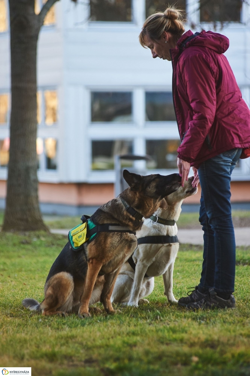 Segítő kutyák - fotó Szarka Lajos