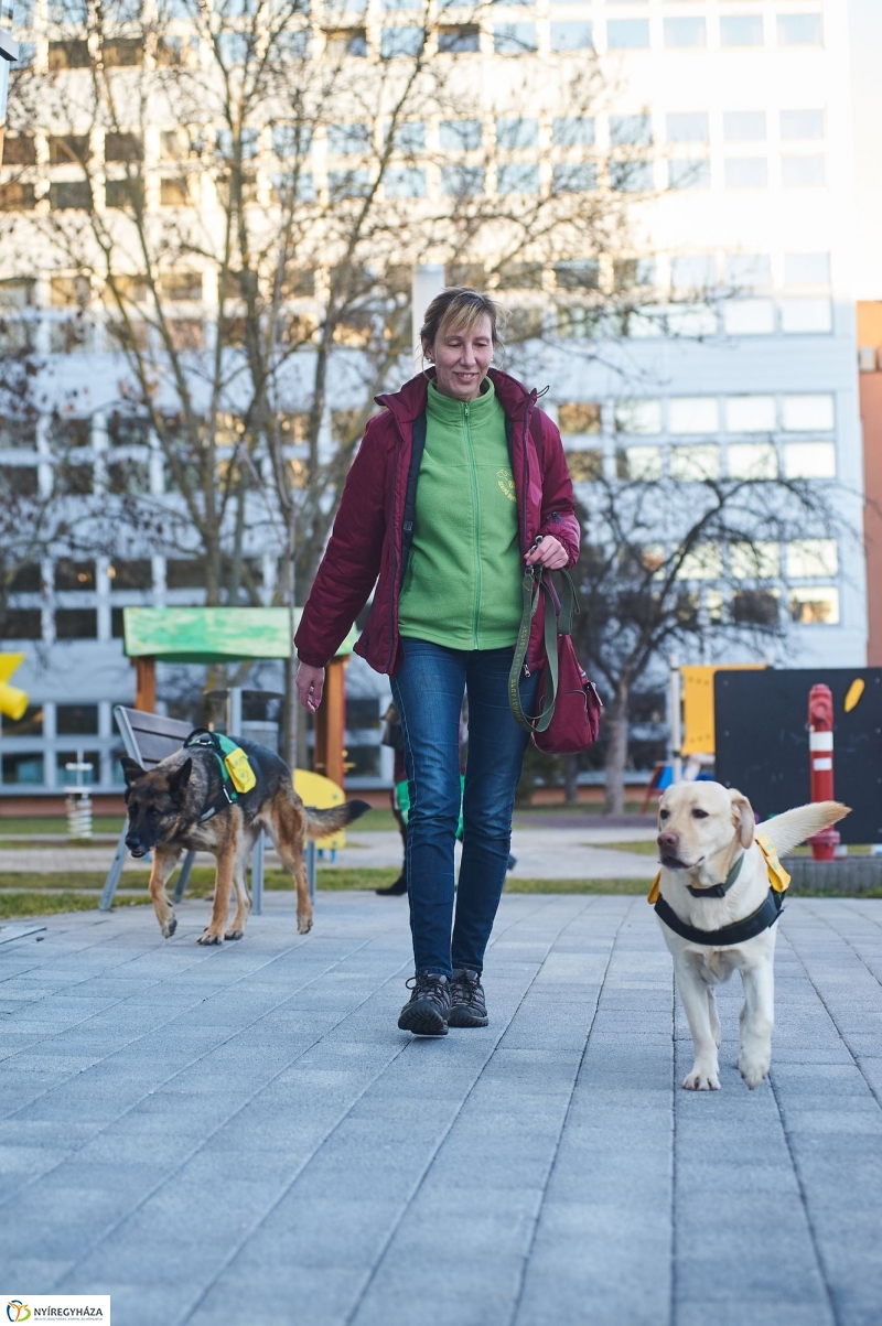 Segítő kutyák - fotó Szarka Lajos