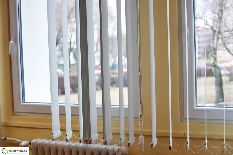 Népegészségügyi főosztály épület átadó - fotó Szarka Lajos