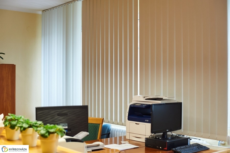 Népegészségügyi főosztály épület átadó - fotó Szarka Lajos