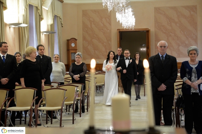 A Gróf Károlyi Ferenc Terem névadója - fotó Trifonov Éva