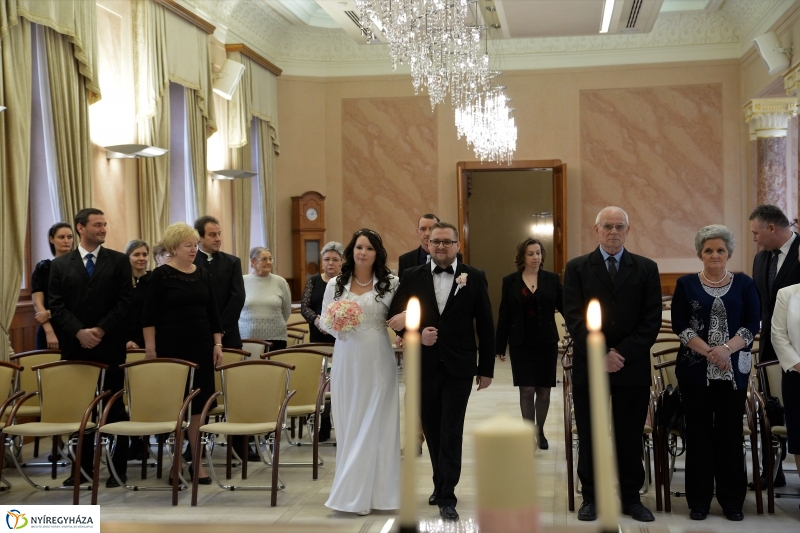 A Gróf Károlyi Ferenc Terem névadója - fotó Trifonov Éva