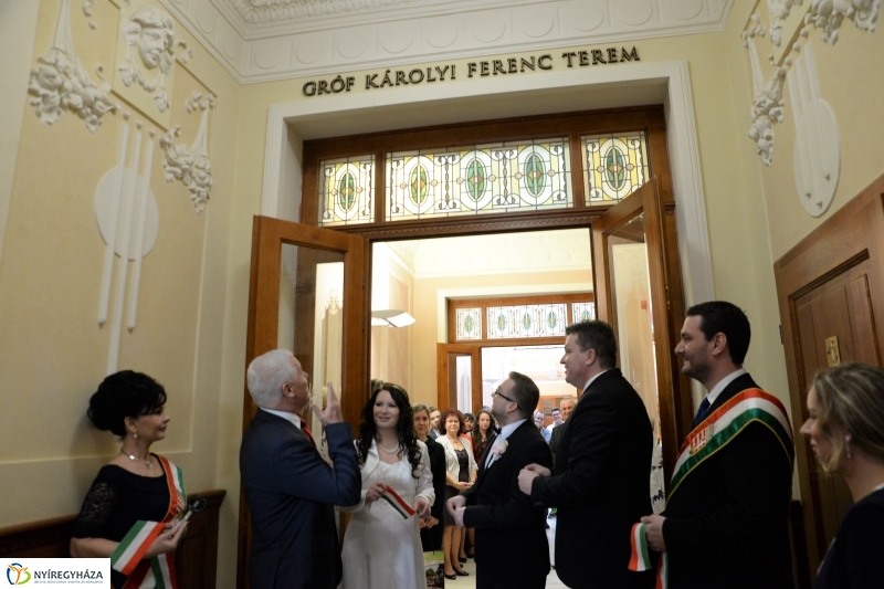 A Gróf Károlyi Ferenc Terem névadója - fotó Trifonov Éva