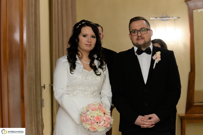 A Gróf Károlyi Ferenc Terem névadója - fotó Trifonov Éva