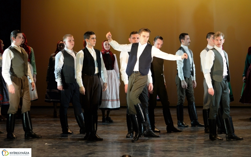 Táncfarsang 1 - fotó Trifonov Éva