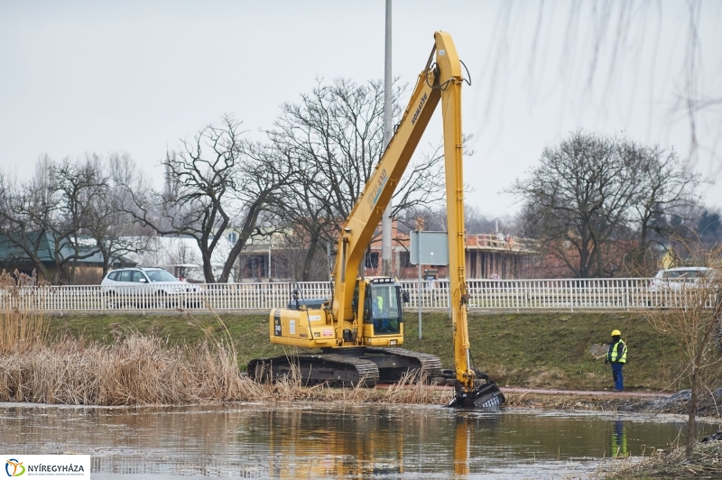 Kotrás a Bujtos tavon - fotó Szarka Lajos