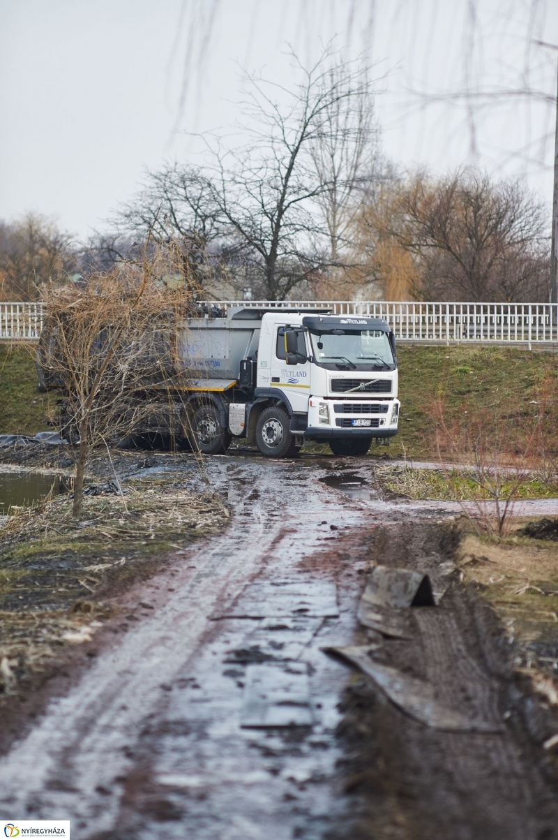 Kotrás a Bujtos tavon - fotó Szarka Lajos