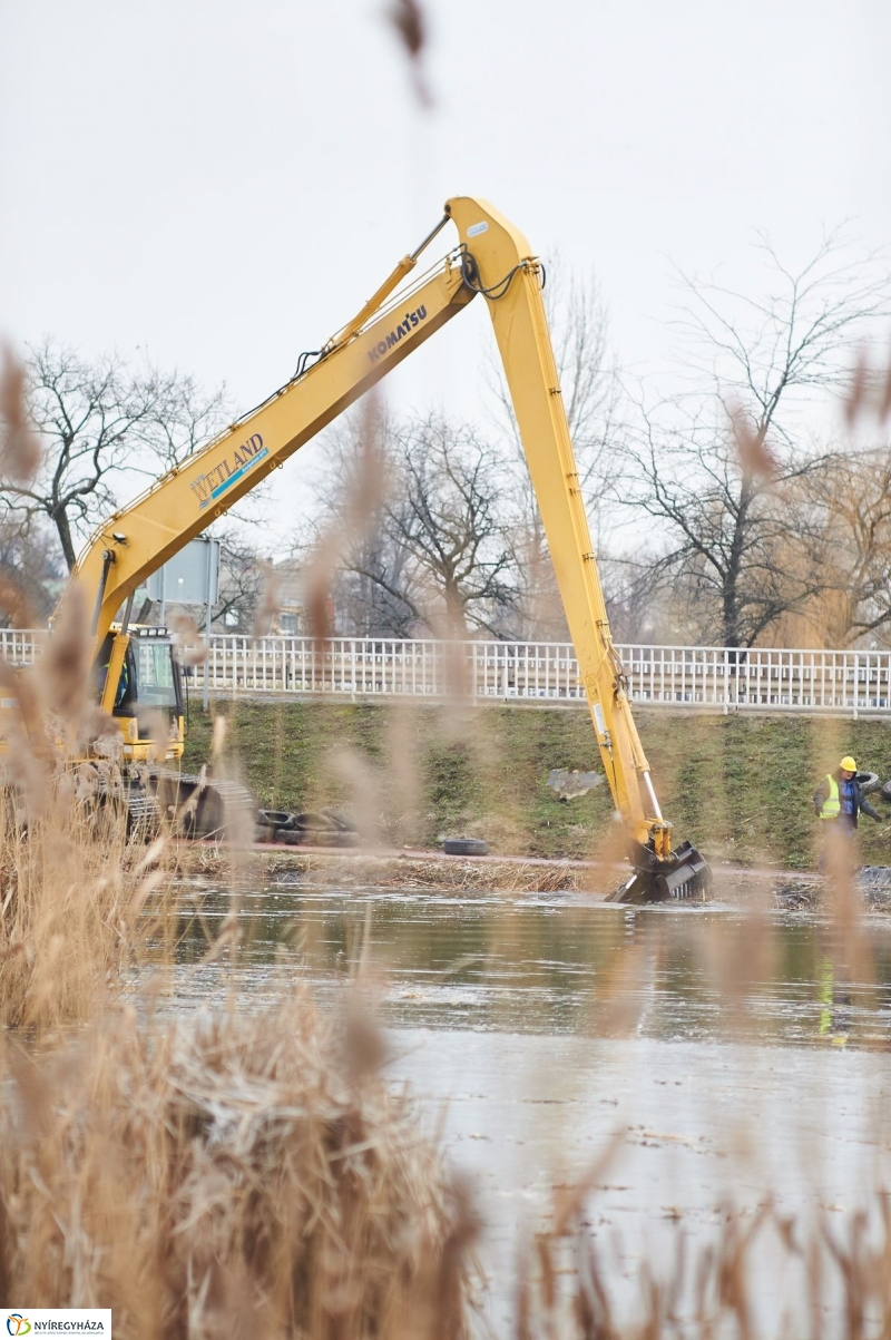 Kotrás a Bujtos tavon - fotó Szarka Lajos